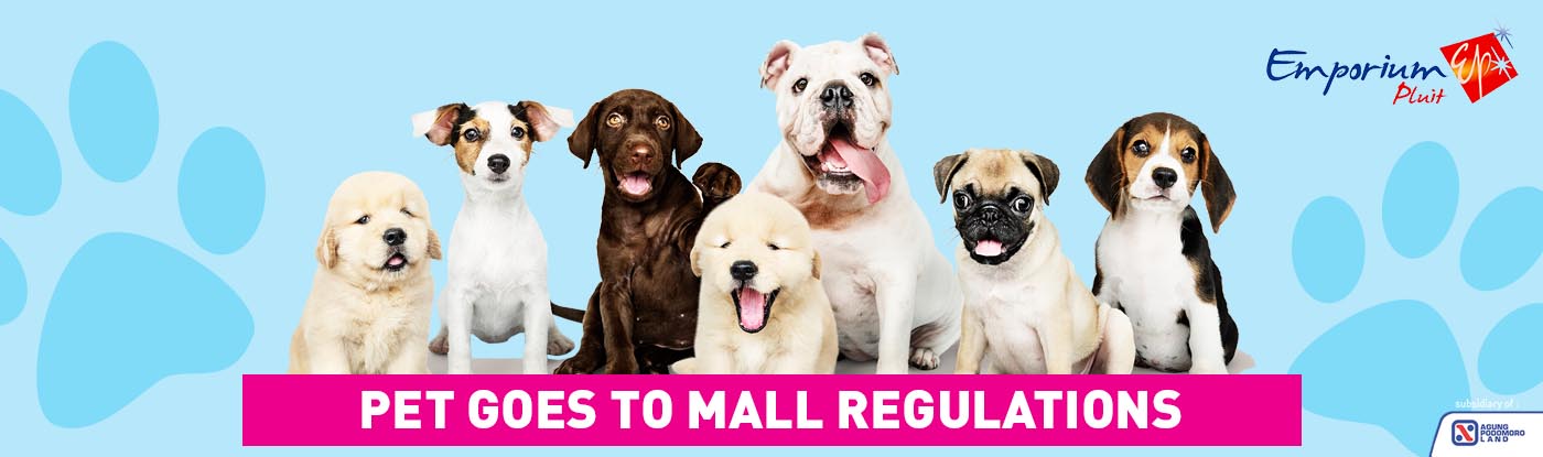 PET GOES TO MALL REGULATIONS